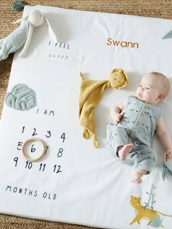 Vêtements bébé et enfants à personnaliser-Jouet-Tapis photo bébé personnalisable HANOÏ