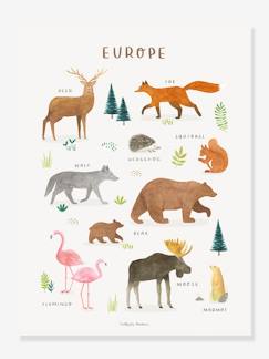 Affiche Animaux d'Europe Living Earth LILIPINSO  - vertbaudet enfant