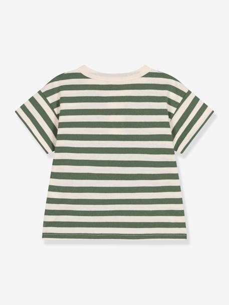 T-shirt rayé en jersey garçon PETIT BATEAU rayé vert 3 - vertbaudet enfant 
