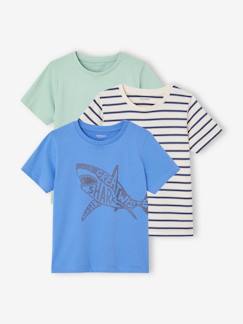 Garçon-T-shirt, polo, sous-pull-T-shirt-Lot de 3 T-shirts Basics garçon manches courtes