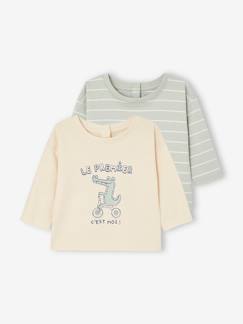 Lot de 2 T-shirts basics bébé  - vertbaudet enfant