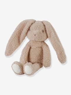 Peluche Lapin - Baby Bunny - LITTLE DUTCH  - vertbaudet enfant