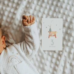 Cartes étapes - mes premiers mois - bleu/gris - L'Atelier Gigogne - Capturer les moments magiques de la première année de bébé  - vertbaudet enfant