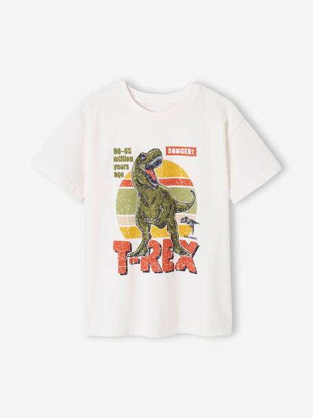 Garçon-Tee-shirt dinosaure garçon