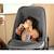 MAXI COSI Kit repas pour transat Alba, chaise haute bébé avec tablette + housse de protection Beyond Graphite, de 6 mois à 3 ans GRIS 4 - vertbaudet enfant 