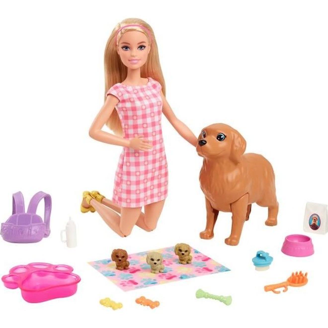 Barbie Coffret naissance des chiots Poupee mannequin Des 3 ans HCK75 rose Barbie