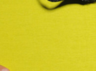 demandez vos catalogues