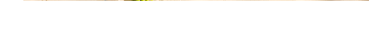 -20% sur TOUTE LA COLLECTION
