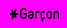Gar&ccedil;on