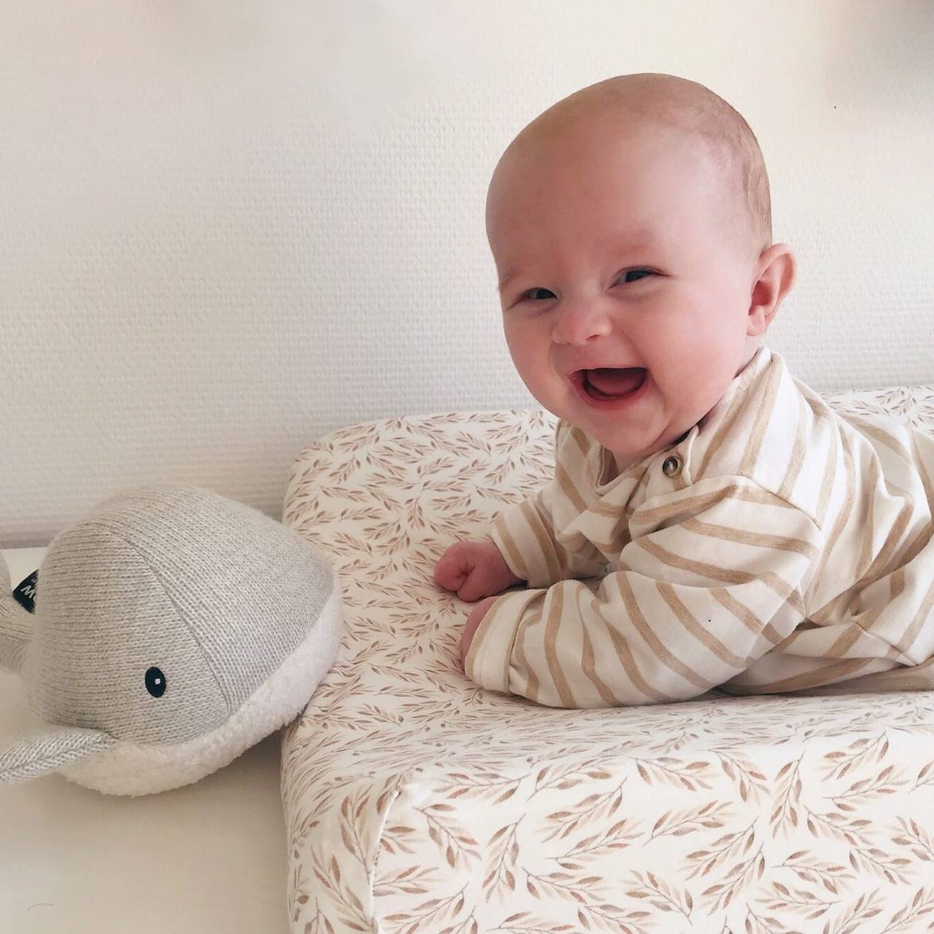 Peluche Bruit Blanc Rechargeable Baleine Moby Gris Gris (FLOW) - Image 2