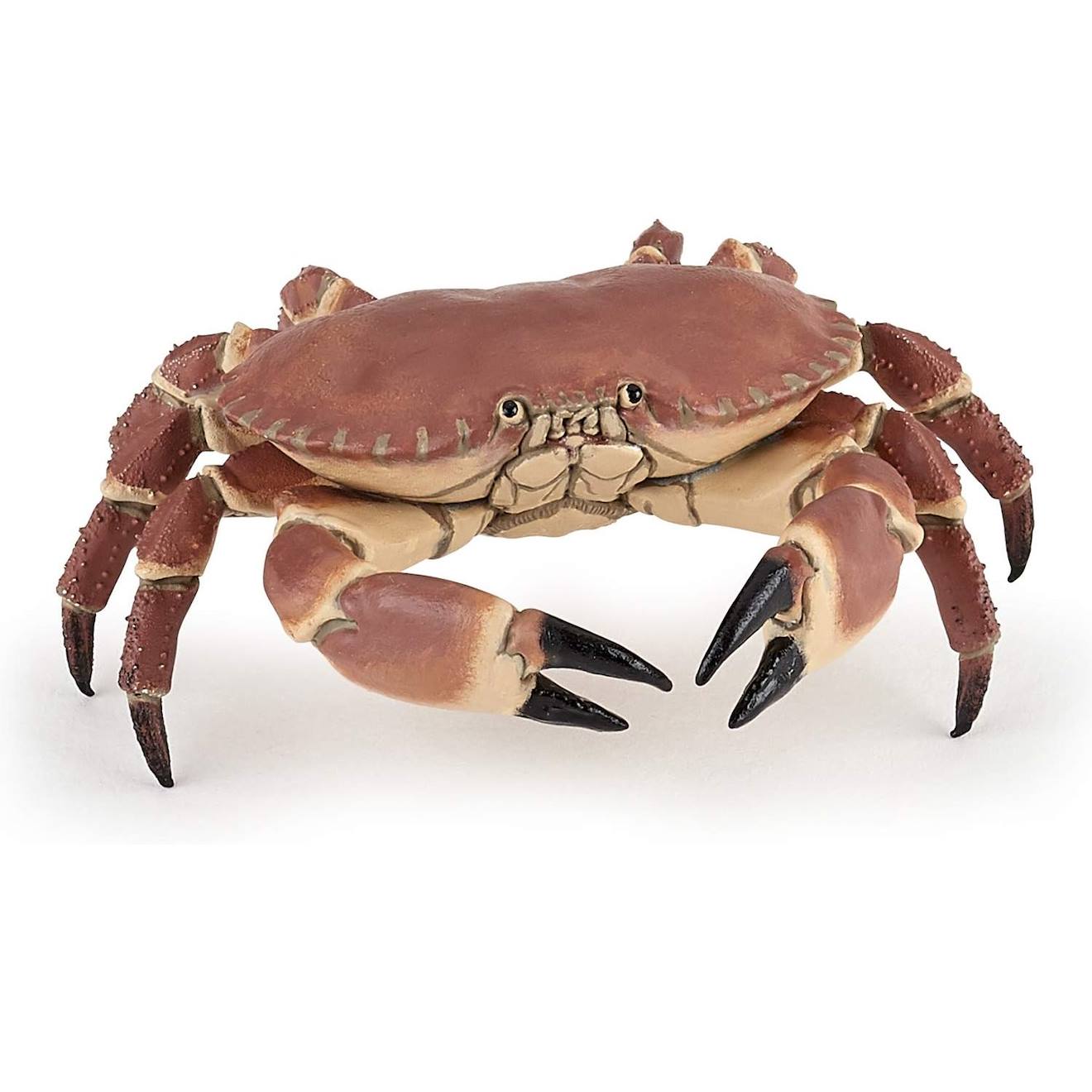 Figurine Crabe Marron