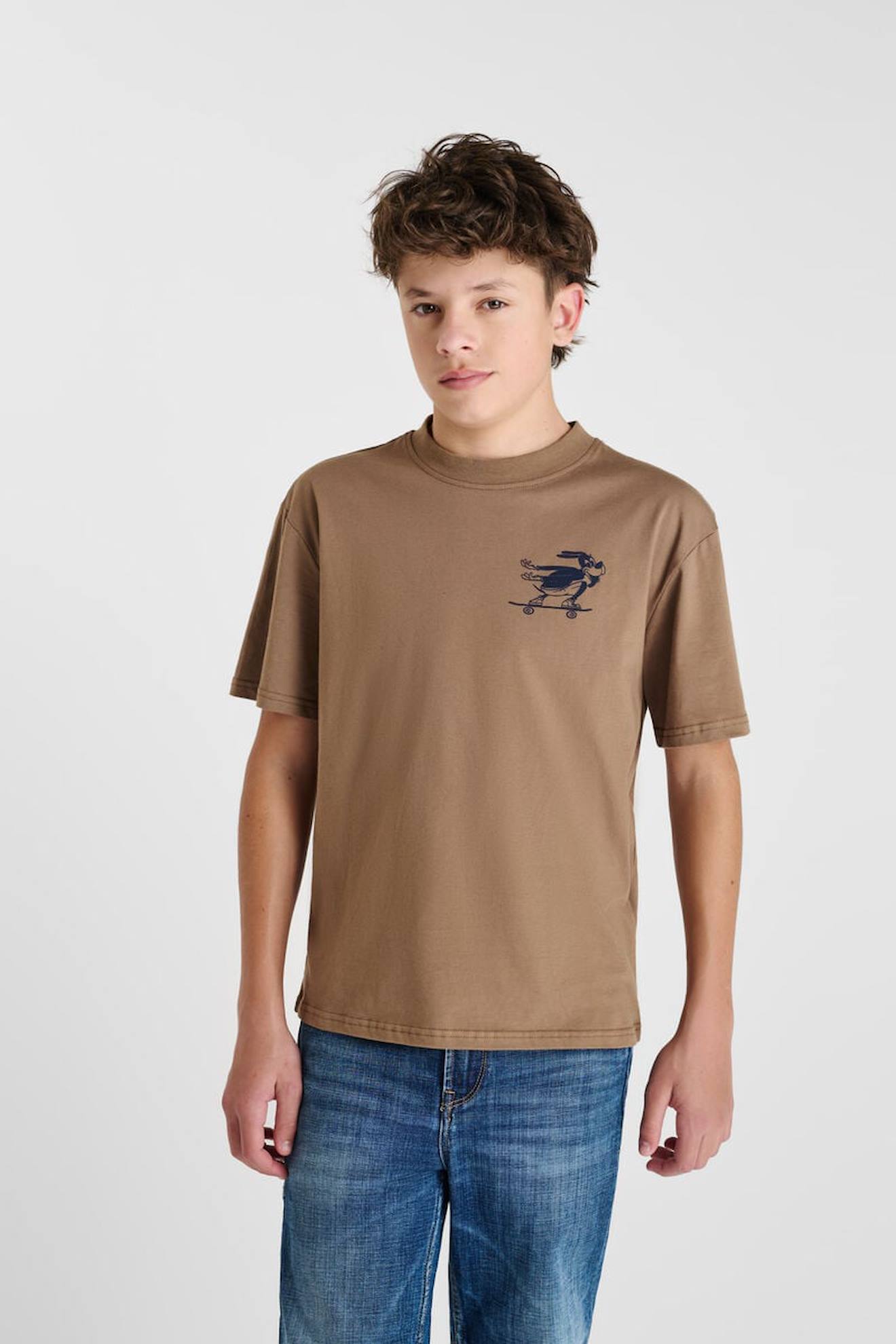 Tee-shirt Ludbo Brown