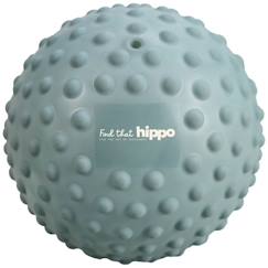 -Balle sensorielle large