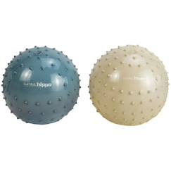 Jouet-Set de 2 balles sensorielles