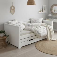 Chambre et rangement-Lit banquette avec lit gigogne pin massif  basile
