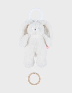 Jouet-Premier âge-Peluche mini-musicale 20cm - snow