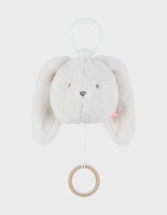 Jouet-Premier âge-Peluche tête mini-musicale 20cm - snow