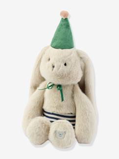 Jouet-Premier âge-Peluches-Peluche lapin Bertrand