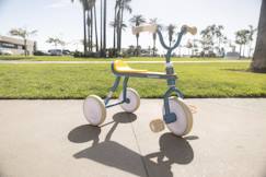 -Tricycle vintage ergonomique classic trike