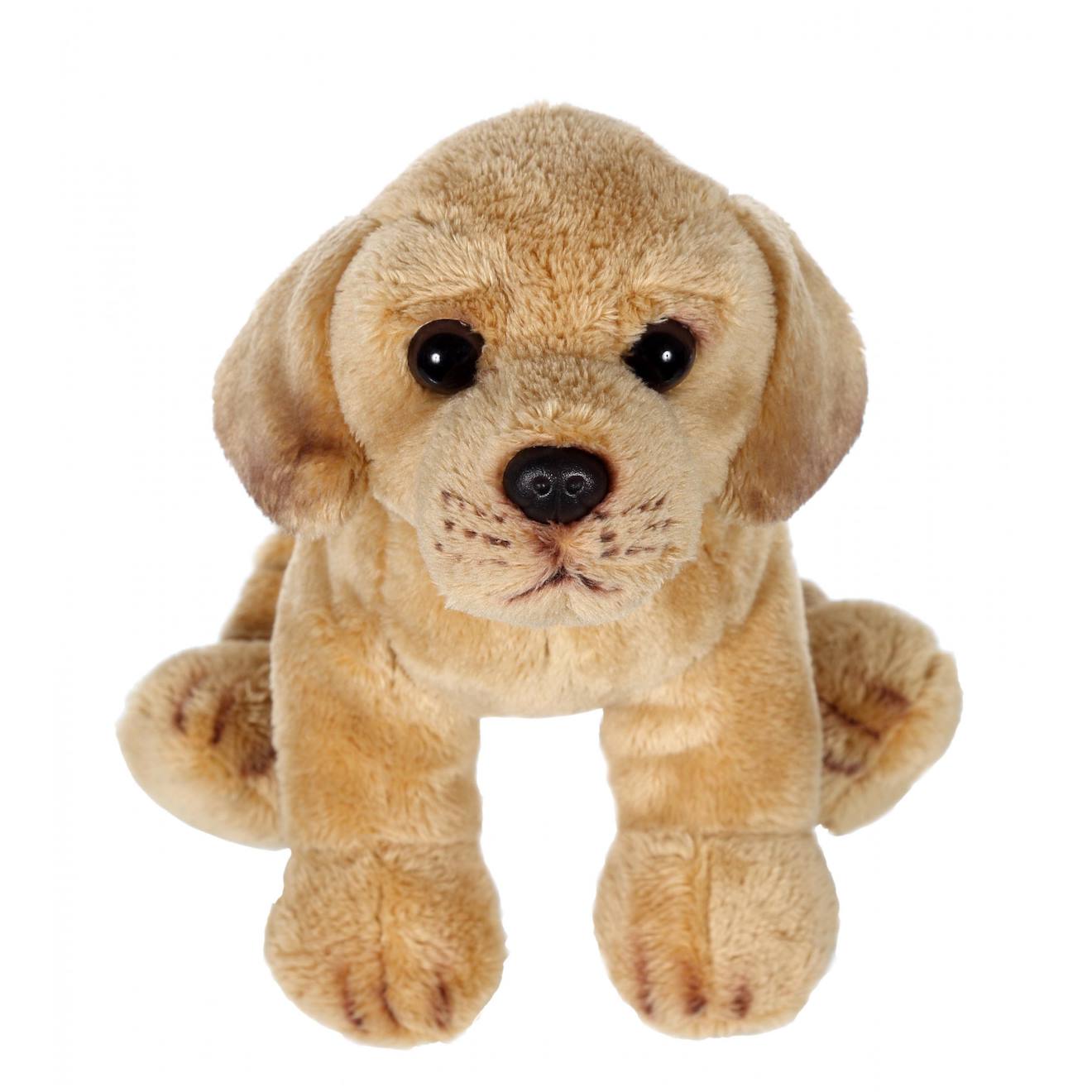 Peluche - Floppipup Labrador - 22 Cm Marron
