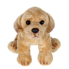 Jouet-Premier âge-Peluches-Peluche - peluche floppipup labrador - 22 cm