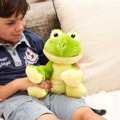-Peluche bouillotte grenouille