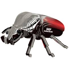 Jouet-Puzzle 3d - coléoptère goliath