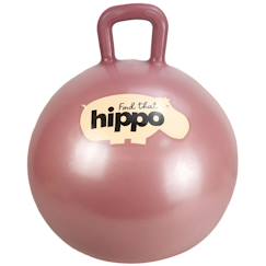 Jouet-Jeux de plein air-Aires de jeux-Autres jeux de jardin-Ballon sauteur 45cm