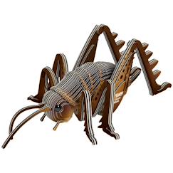 Jouet-Puzzle 3d - sauterelle