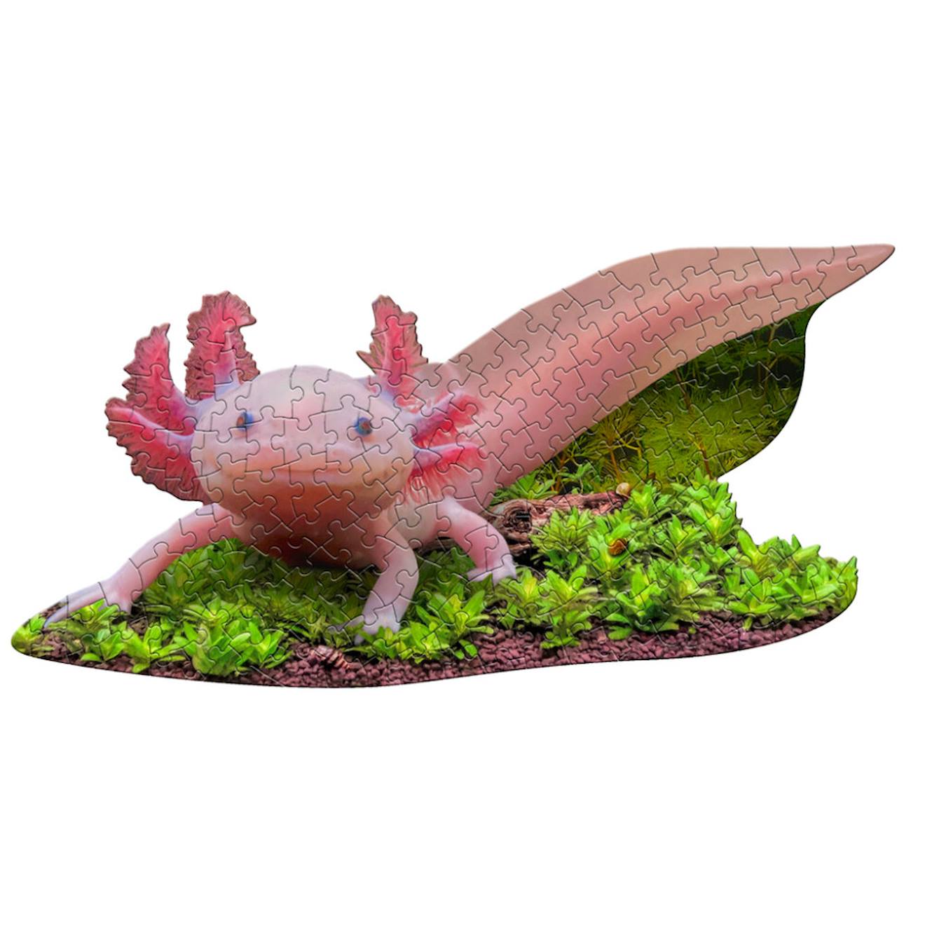 Puzzle I Am Lil' - Axolotl Multicolor