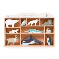 -Set animaux animaux polaires
