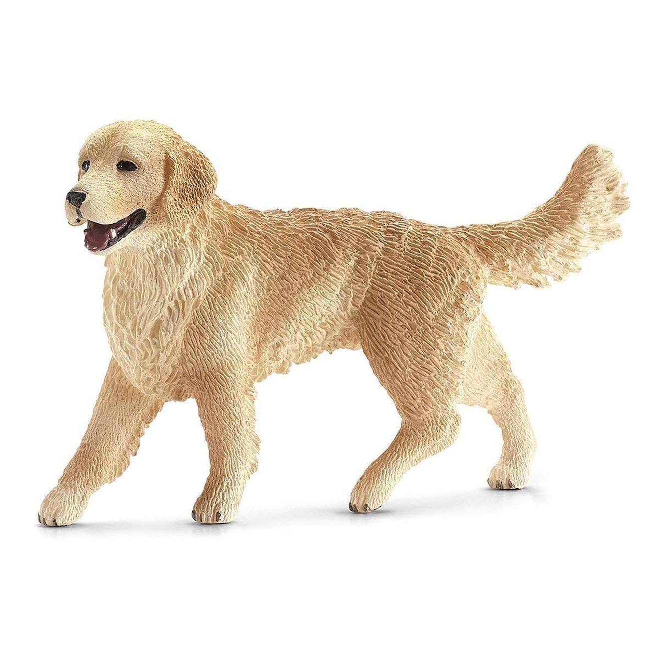 Chiene Golden Retriever Beige