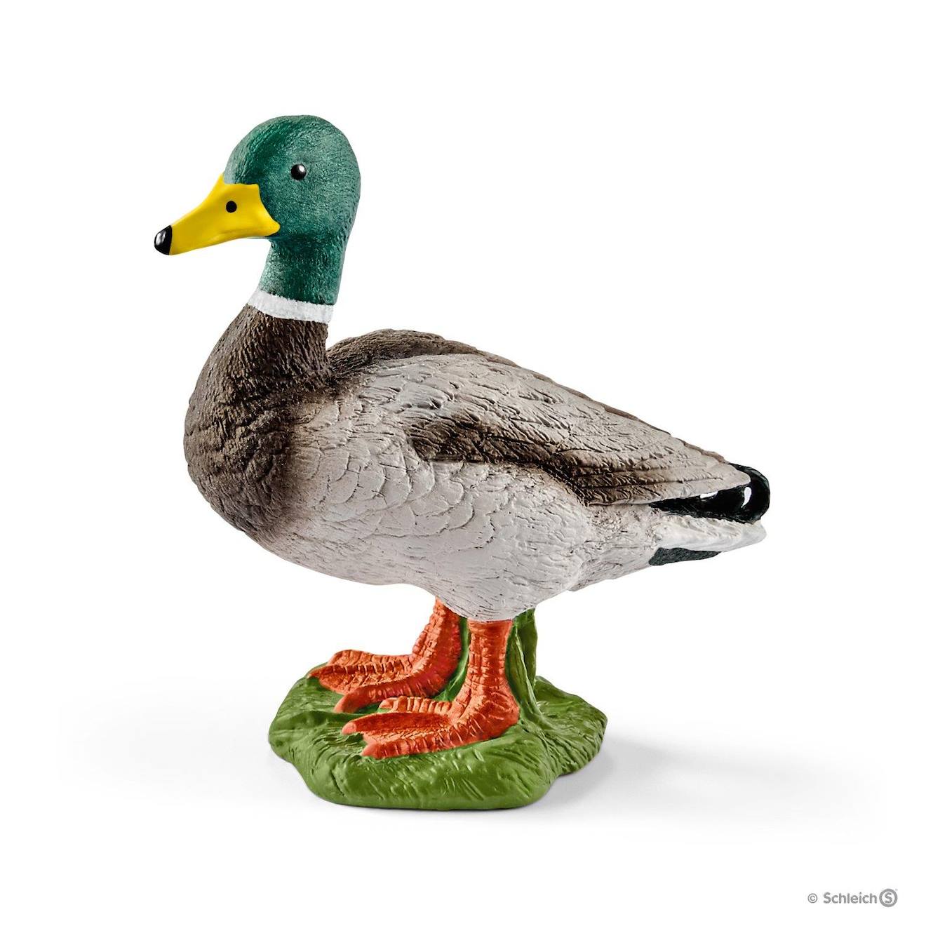 Animal Miniature Canard Multicolore