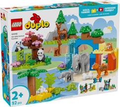 Jouet-Lego duplo - familles d'animaux sauvages 3-en-1 - 10446