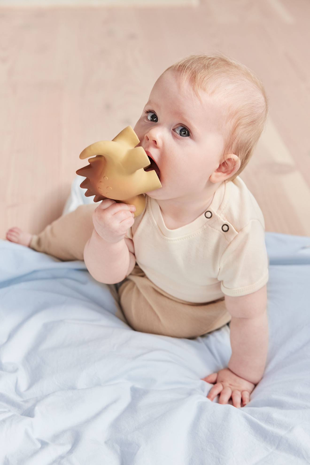 Peluchesaure En Caoutchouc Marron (Oyoy Mini) - Image 1