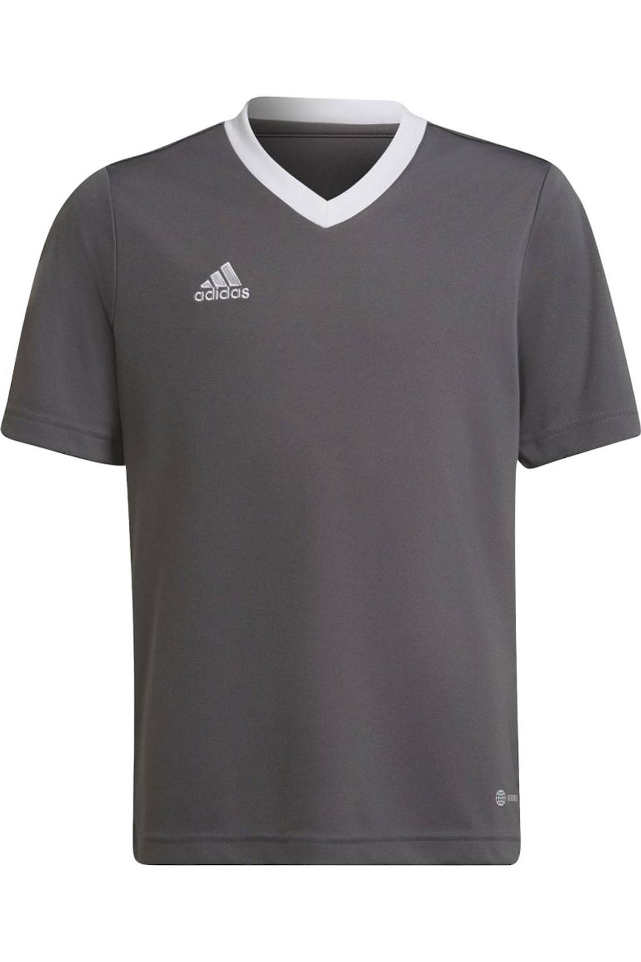 T-shirt Sport Enfant Entrada 22 Gris