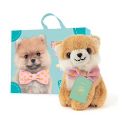 Jouet-Premier âge-Peluche Pompom le chien Keeshond avec valise, passeport et stickers – Mini Poméranien 8 cm