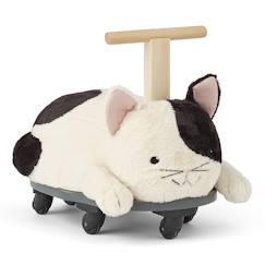 Jouet-Premier âge-Bascules, chariots de marche, trotteurs et porteurs-Porteur sture le chat