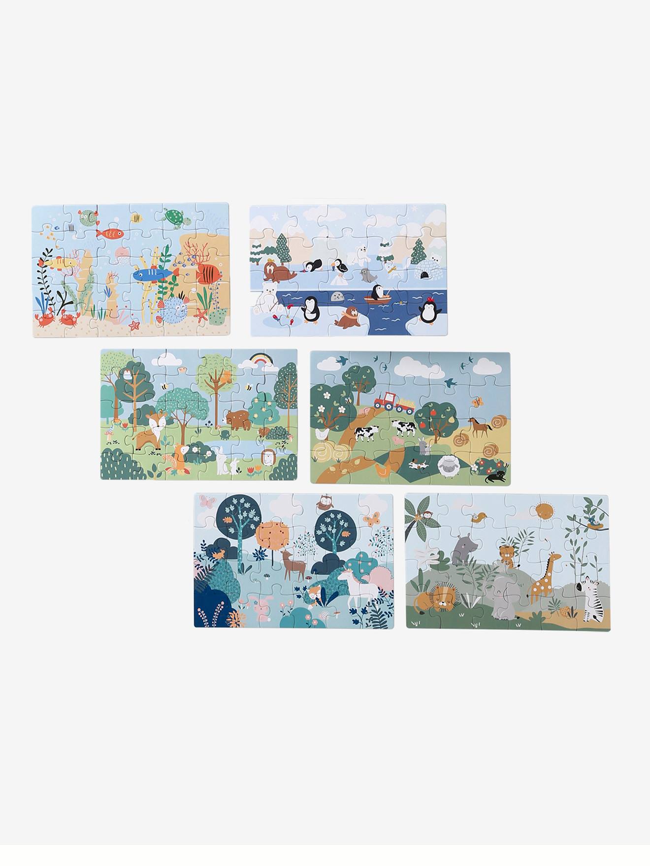 6 puzzles magnétiques évolutifs 20 à 30 pièces multicolore