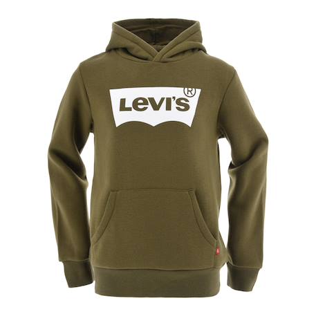 Garçon-Sweat à capuche   batwing sreenprint