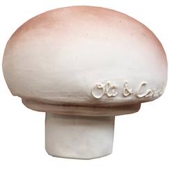Puériculture-Jouet de dentition - manolo le champignon