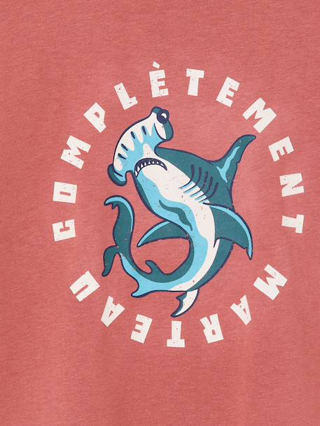 T-shirt garçon motif ludique bleu océan+bois de rose+vert d'eau 6 - vertbaudet enfant 