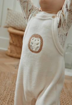 Lot De 2 Bodies Bébé Manches Longues Petit Loup Gris Petit Beguin