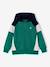 Sweat zippé garçon capuche coloblock bleu moyen+bordeaux+gris chiné+ocre+vert 16 - vertbaudet enfant 