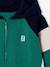 Sweat zippé garçon capuche coloblock bleu moyen+bordeaux+gris chiné+ocre+vert 18 - vertbaudet enfant 