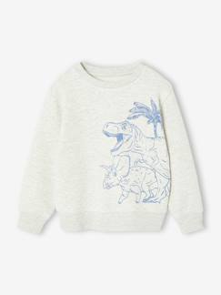 Sweat garçon fantaisie  - vertbaudet enfant