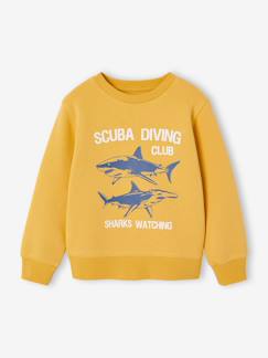 -Sweat garçon fantaisie