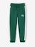 Jogging garçon bande côté bordeaux+gris chiné+rouge+vert 12 - vertbaudet enfant 