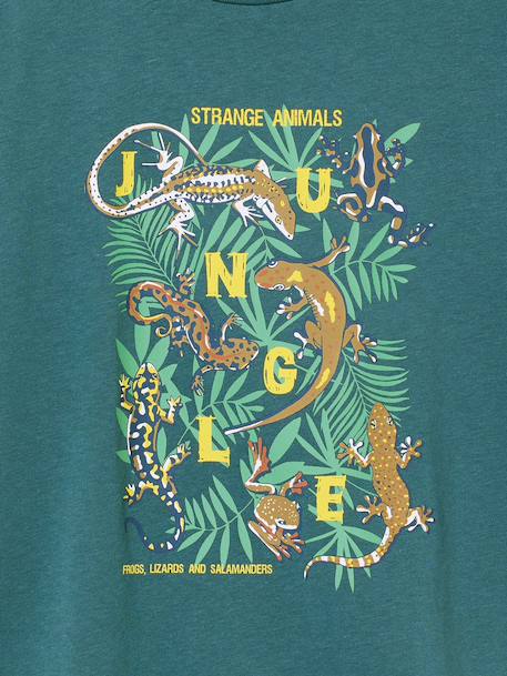 T-shirt garçon motif ludique bleu océan+bois de rose+vert d'eau 9 - vertbaudet enfant 