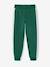 Jogging garçon bande côté bordeaux+gris chiné+rouge+vert 13 - vertbaudet enfant 